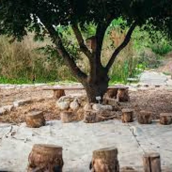 images (2)