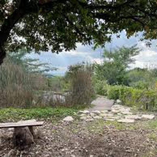 images (5)